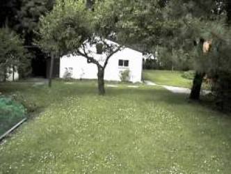 stall1998.jpg